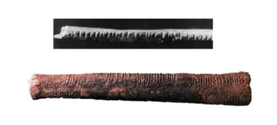 Kosti iz Išanga i Lebomba