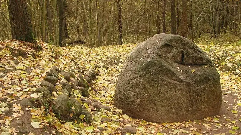 Suma pokaini kamenje