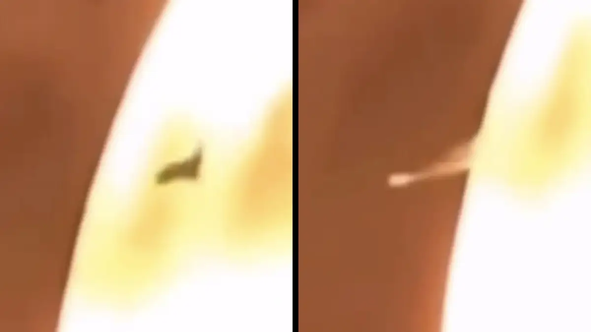 Uočen gigantski NLO kako leti kroz Sunce