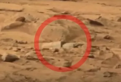Moon anomaly