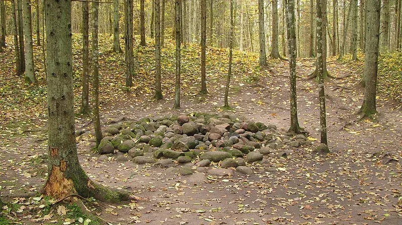 Misteriozna šuma Pokaini u Latviji
