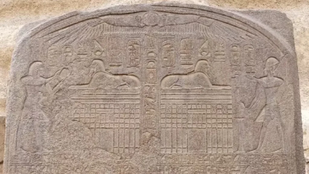 Stela snova