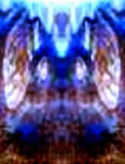 2 multidimenzionalno bice