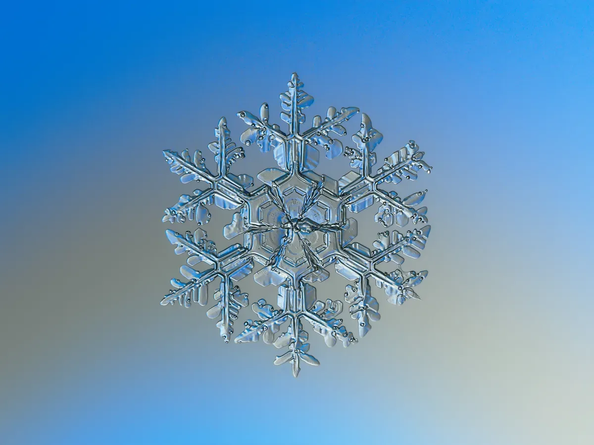 Makro fotografija snježnog kristala — poput kristala leda koje je Emoto snimao u svojim eksperimentima
