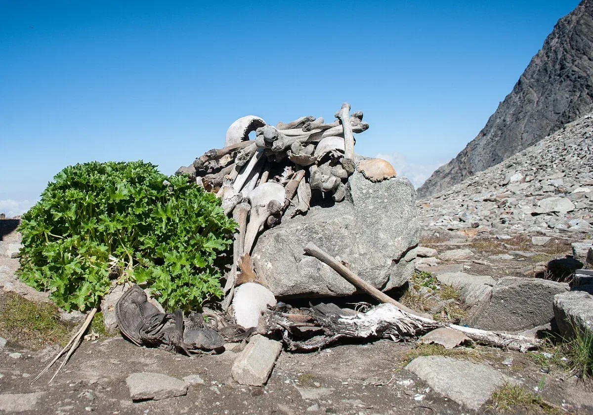 Prizor sa jezera Roopkund: Gomila starih ljudskih kostiju i nekoliko lobanja leže na velikoj stijeni pod vedrim plavim nebom.