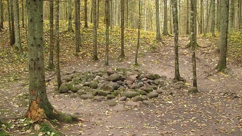 Misteriozna šuma Pokaini u Latviji